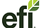 efi.png