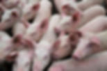 AdobeStock_280864520.jpeg