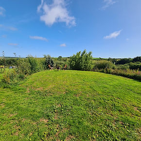 Willow pitch 1.jpg