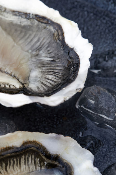 
Set Design, photographie, set designer, Quimper, bretagne, Paris, france, culinaire, food photographie, crustacés, coquillages, homard