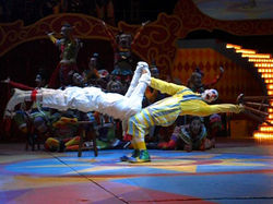 Muzzarela na Unicirco Marcos Frota