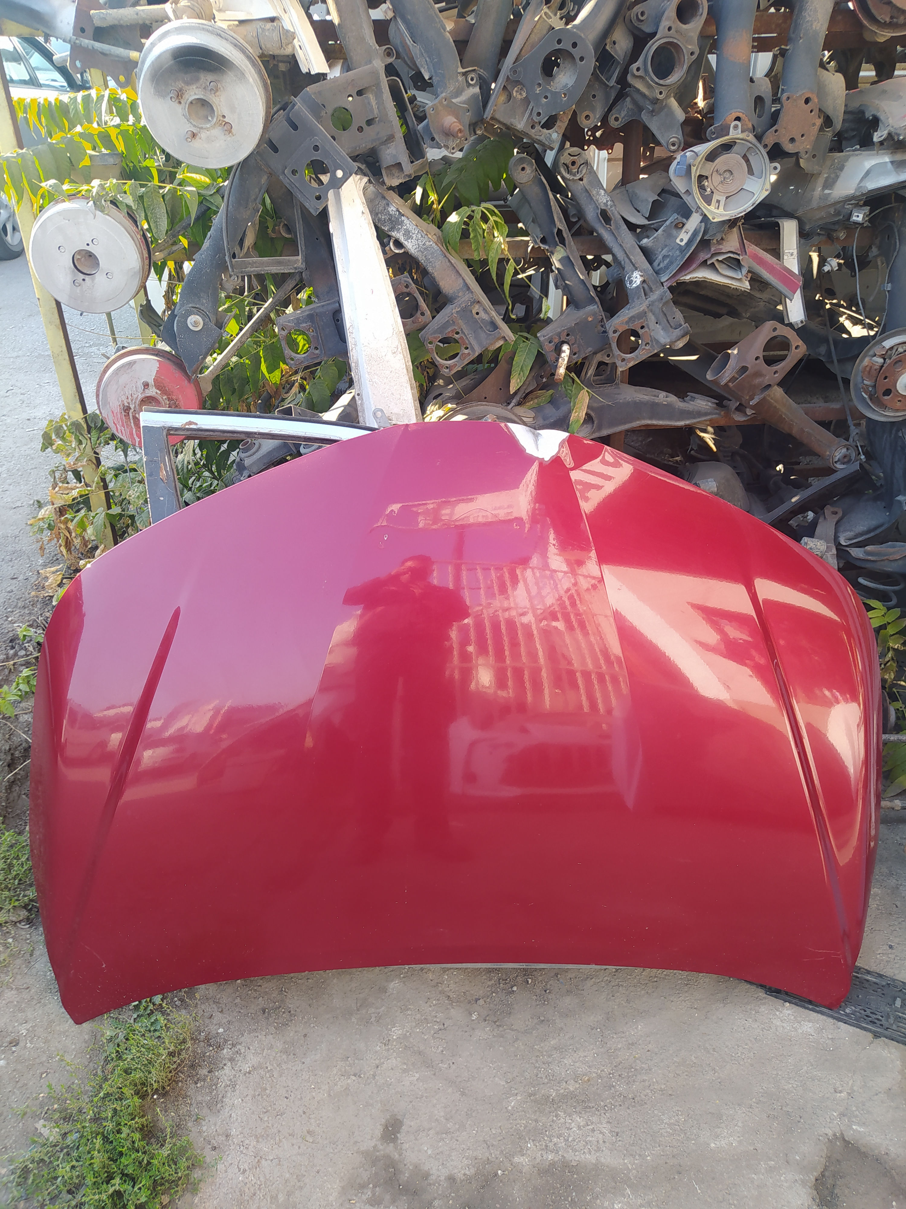 COROLLA 2019-2021 KAPUT