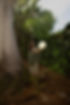 rtephotography (26 of 40).jpg