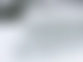 A white column radiator sat half-buried in the snow