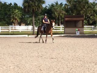Greetings from Florida!