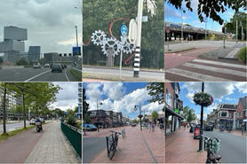 17. Bioptic driving in The Netherlands and the European Union