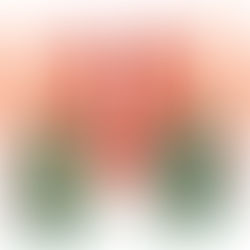 The problem with Blonde, and our disturbing obsession with Marilyn Monroe