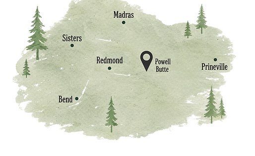 MAP (2).png