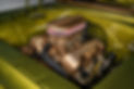 Gone_Mad-35.jpg