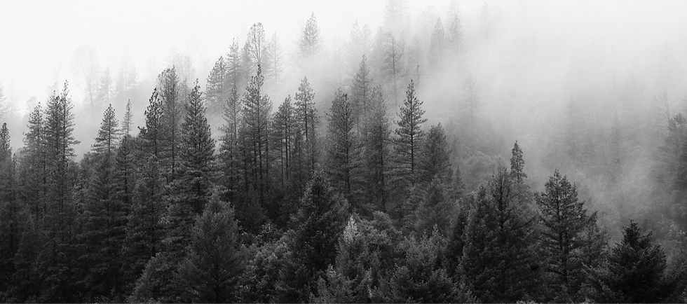 Sean Downes Psychotherapy Bend, Oregon (8)_edited.png
