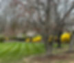 Harding's Landscaping Lawn Care Northern Virginia Lawn Mowing