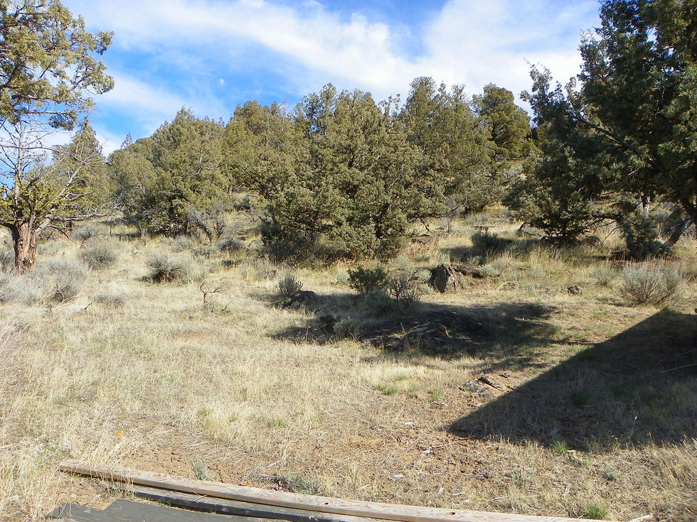 Thumbnail: Fred Crouch Realtor Nice area with acreage in the country Redmond, Oregon