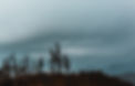 high-rocky-mountains-hills-covered-natural-fog-winter-time.jpg