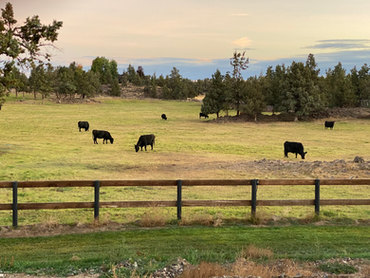 Gallery | Larkin Valley Ranch | Redmond, Oregon