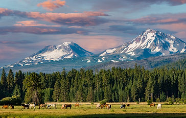 AdobeStock_494317092.jpeg