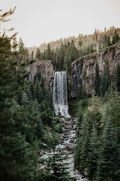 tanner-marquis-sbH8xclbcTY-unsplash.jpg