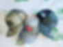 PVil cap.jpg