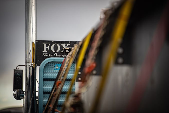Fox - 0028-9547.jpg