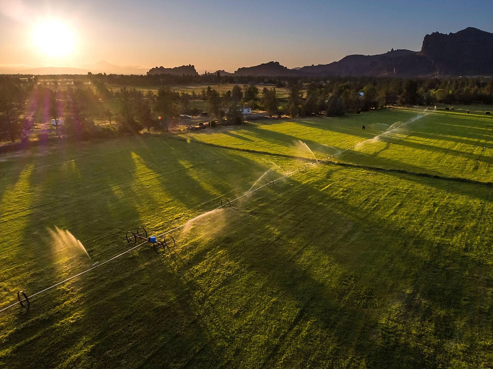 Thumbnail: Jeff Larkin Luxury Home Redmond, Oregon Real Estate
