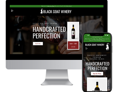 Modern website design in Chandler Arizona with SEO focused pages