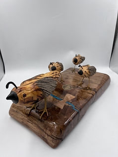 Juniper Quail Family.jpg