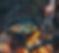 Screenshot 2025-07-18 at 12.03.55 PM.png