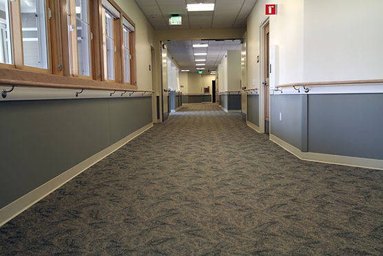 Commercial Carpet Cleaning Redmond
