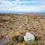 Thumbnail: Jeff larking Realty Redmond, Oregon Real Estate Bend