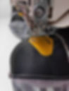 12622245_1105561852795525_2572722866312609400_o.jpg
