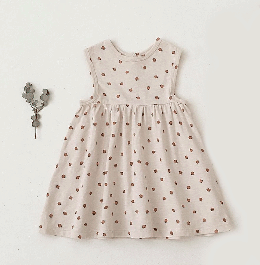 ladybug