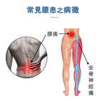 Medex B38b 護腰帶 (8″) (附微調拉緊器) - 3