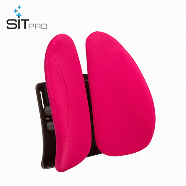 SIT-PRO Back Wing 專業型護脊腰墊