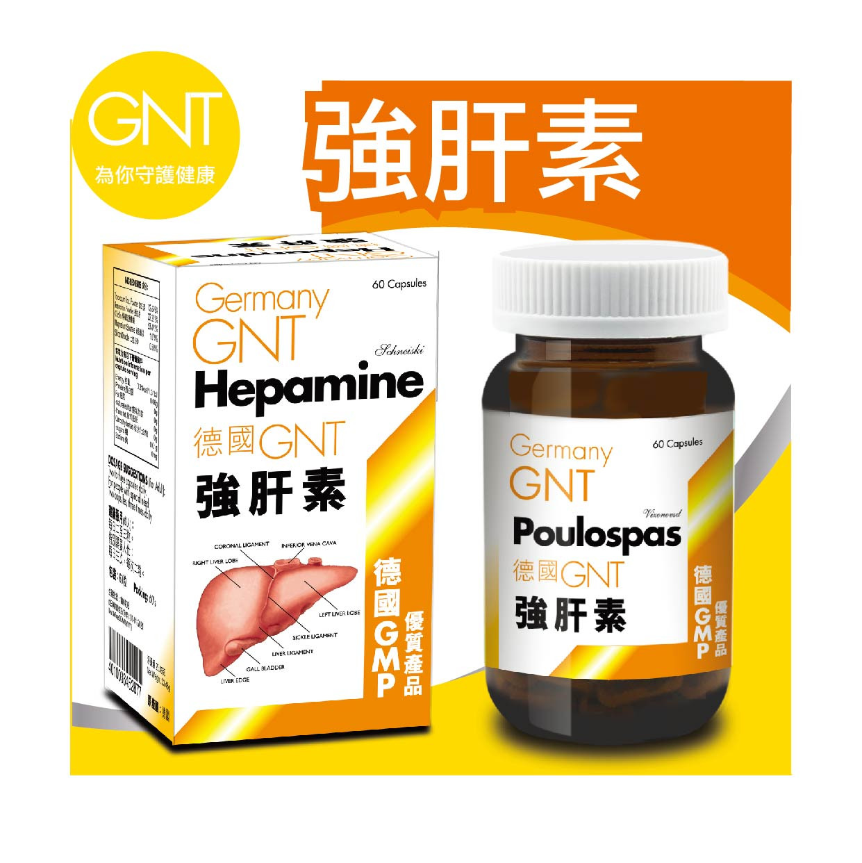 德國GNT - 德國GNT強肝素膠囊【香港原裝行貨】