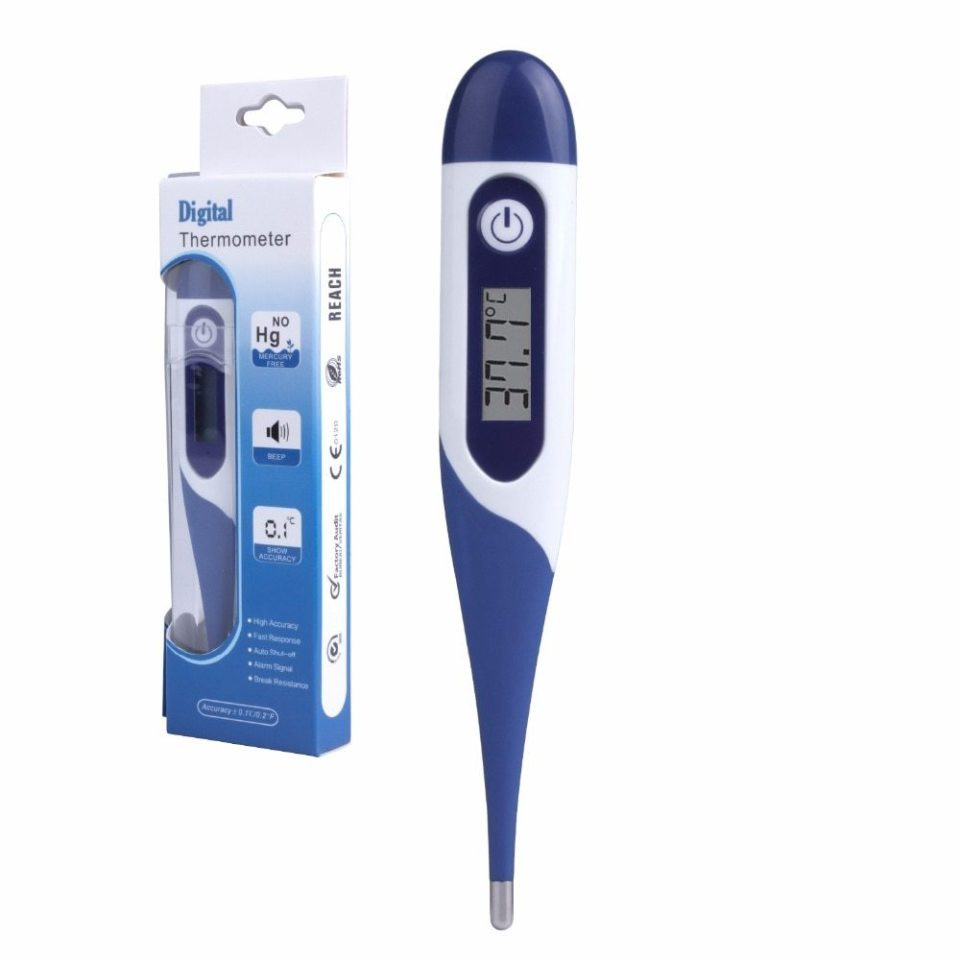 Reach Digital Thermometer