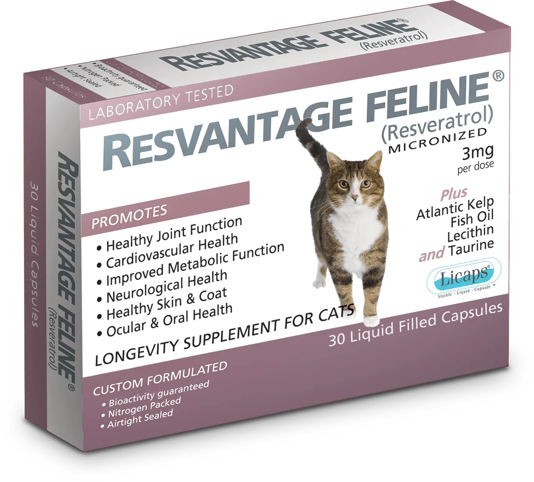 RESVANTAGE® 白藜蘆醇寵物貓用保健品