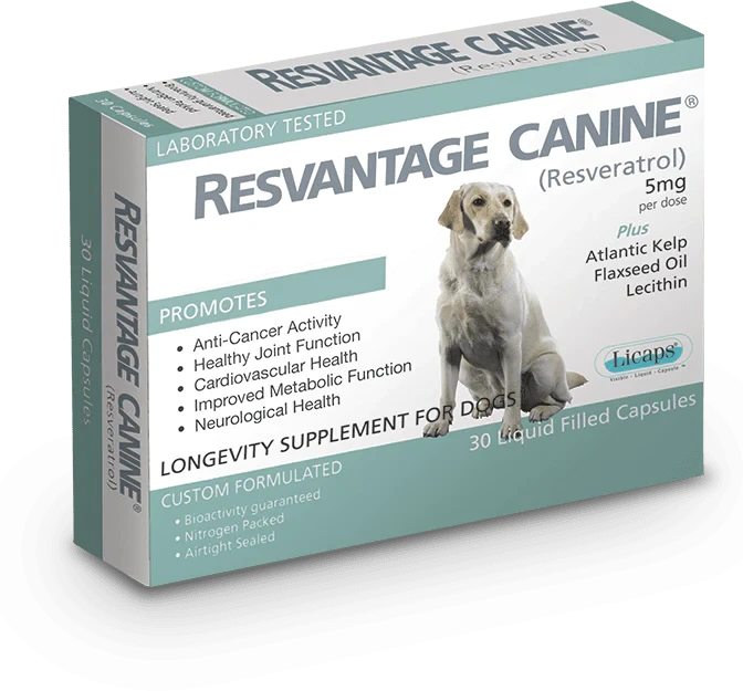 RESVANTAGE® 白藜蘆醇寵物犬用保健品