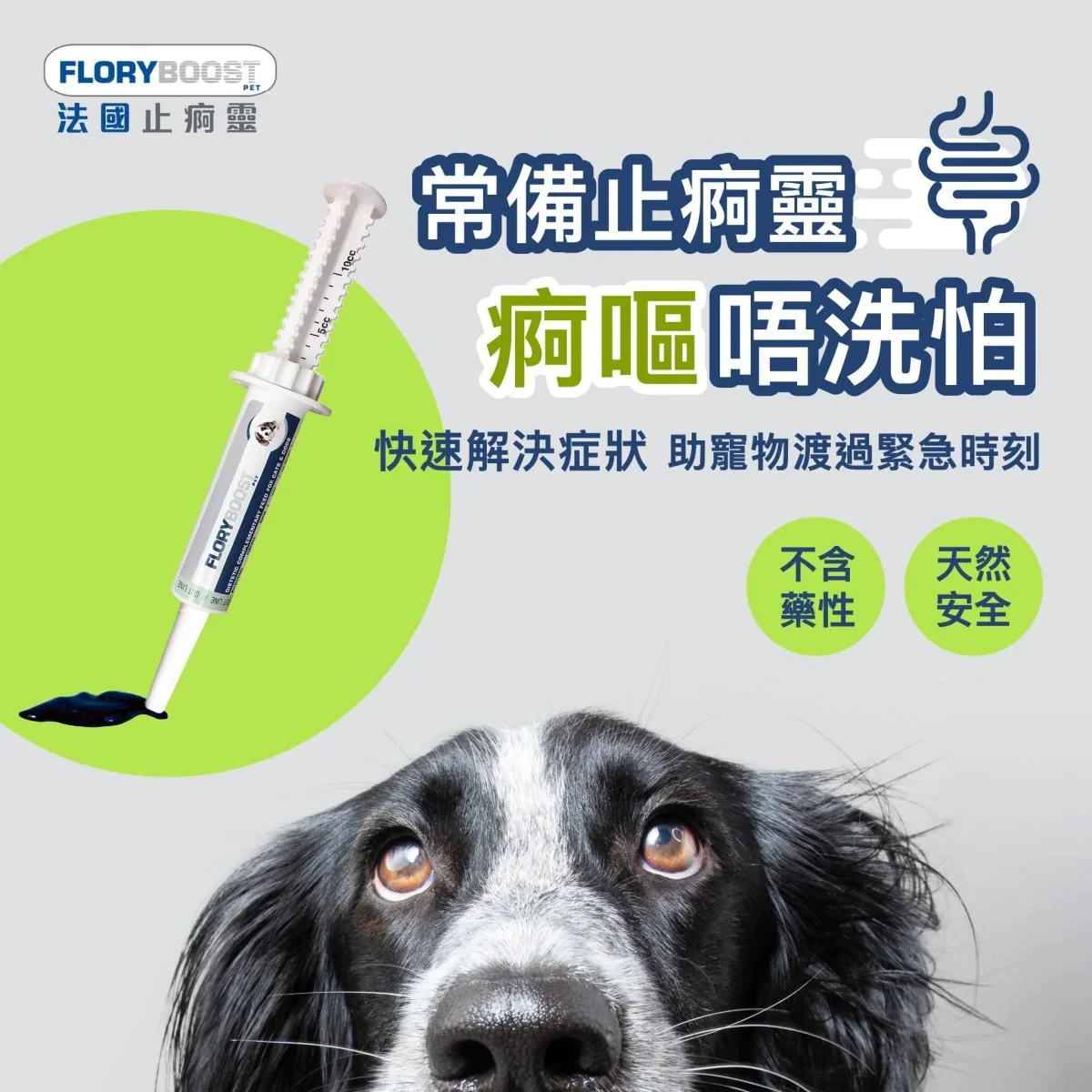 FLORYBOOST 法國寵物止痾靈