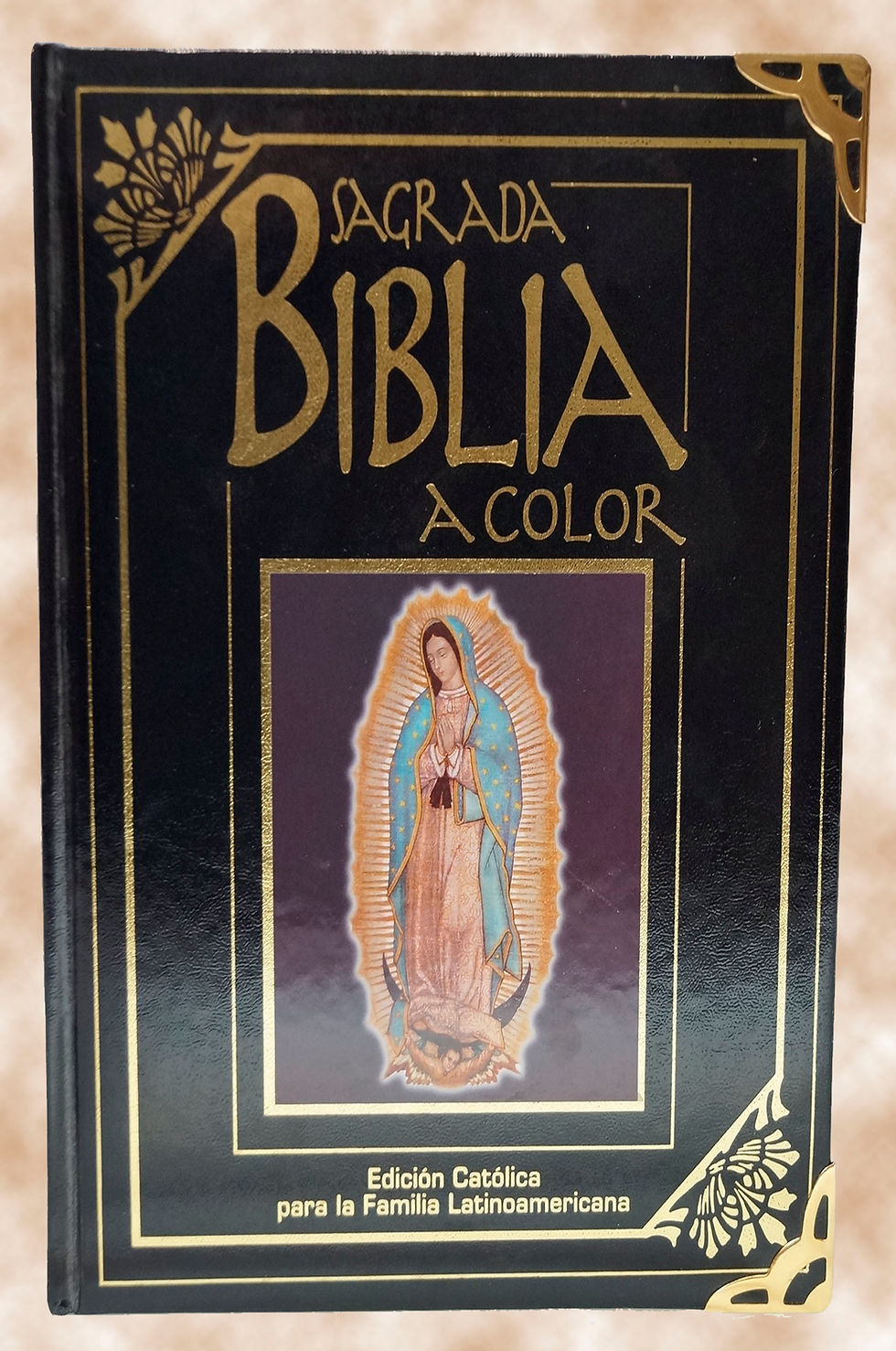 La Biblia a Color