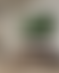 How to Dominate SXSW: Create an Unforgettable Photo Opportunity with The Mossery