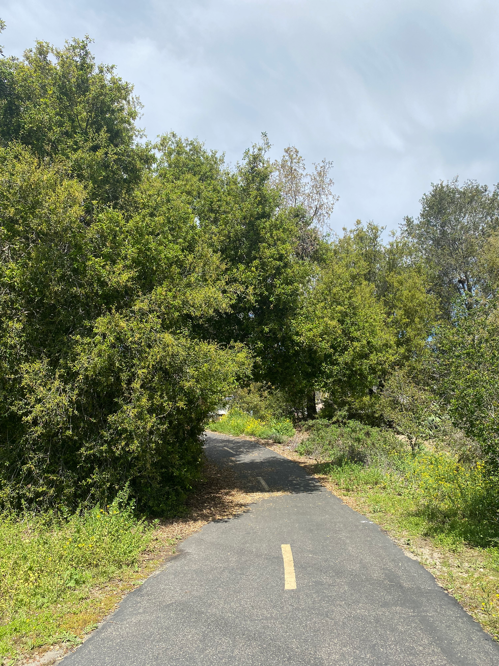 1CD950B2-048D-43C9-8B7B-F2D4BDA4C4FF