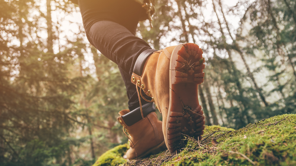 Hiking Boots, moving forward on a forest trail