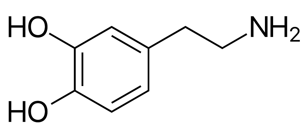 Dopamine. Source: Wikipedia Commons