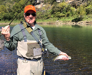 rainbow trout.png