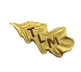 Life Member Pin