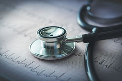 Prof. Sigal Eilat Adar research