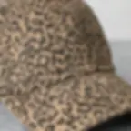 Thumbnail: leopard baseball hat