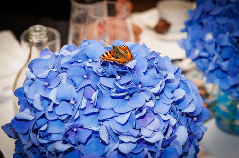 Schmetterling auf Blume Deko Hochzeitsessen