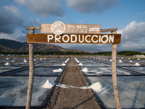 EL ORO BLANCO DEL PACÍFICO