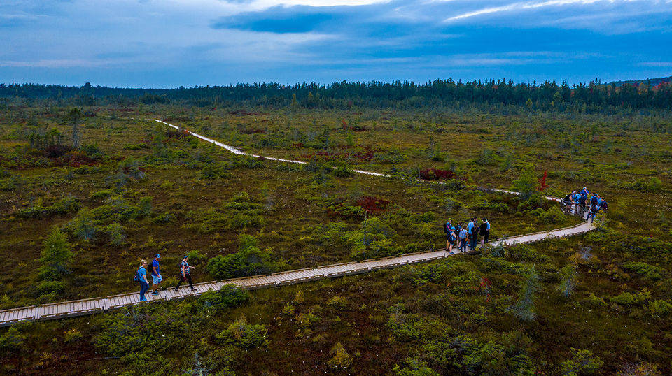Orono Bog Walk