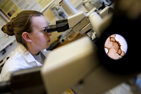 Three Heads are Better than One